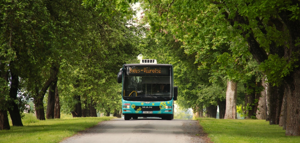 Buss1.JPG