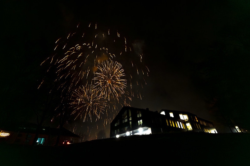 54120381972_16b6249228_c.jpg