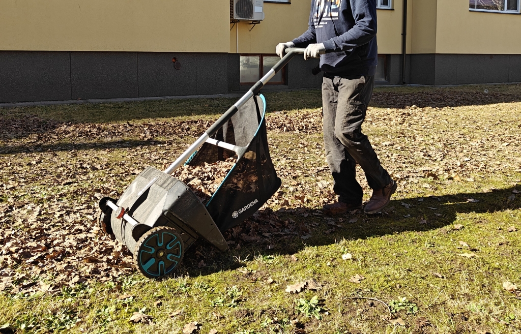 lehtede kogumine.jpg