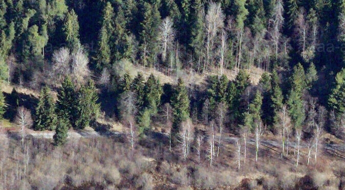 Kaldaerofoto Metsniku Vaibla külas.jpeg