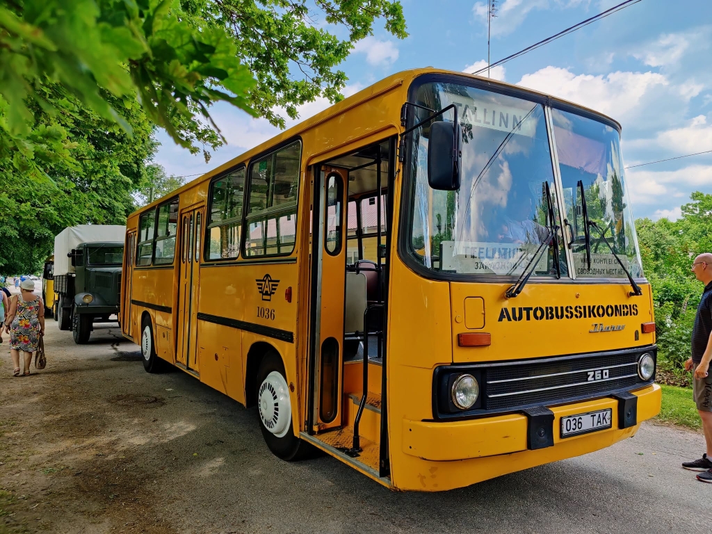 Buss 